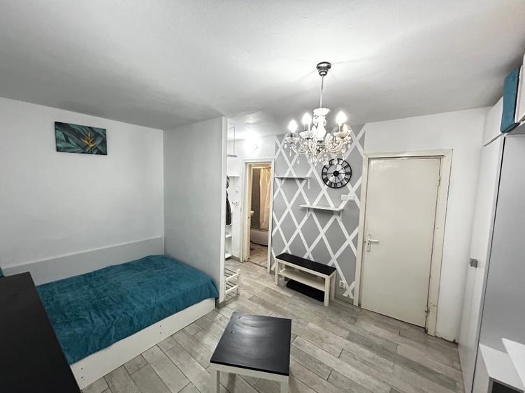 Lacul Tei -Teiul Doamnei Facultatea de Constructii - 13