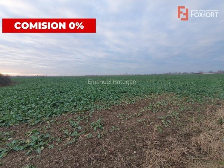 COMISION 0% Teren extravilan 20.000 mp la sosea in Sag