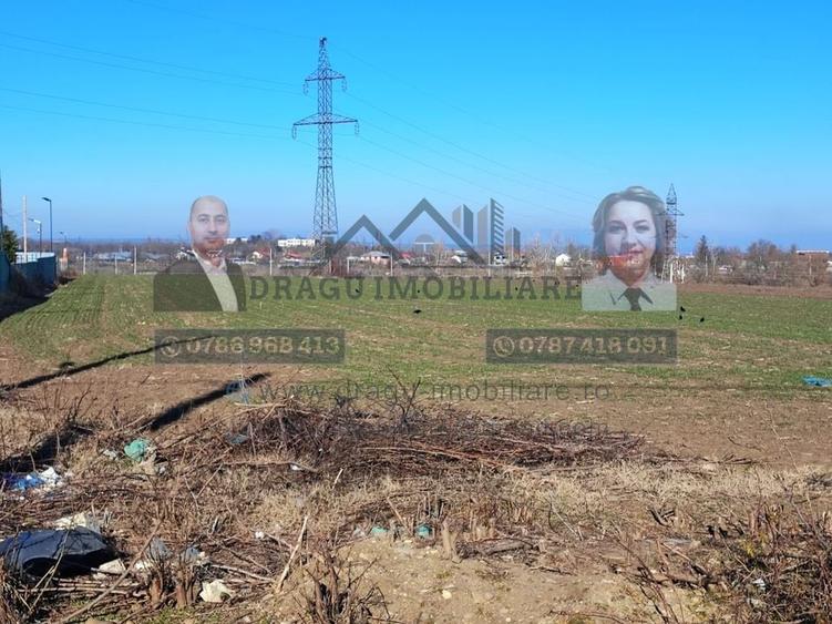 Teren Statia Meteo Balcescu/ 2 loturi de 5000 mp /Tecuci - 3