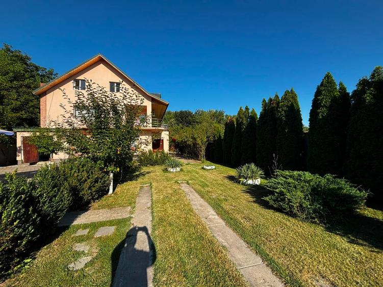 Casă cu 10 camere cu Piscina în Palanca
