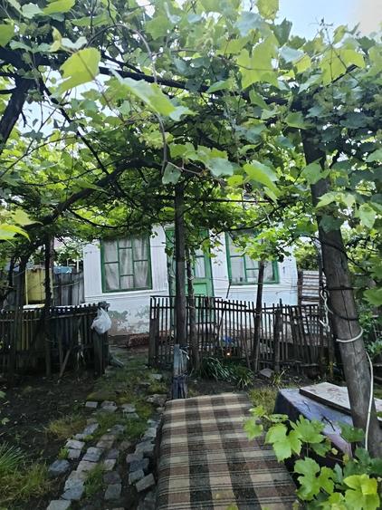 Casă cu Teren 250 Mp în Fălticeni