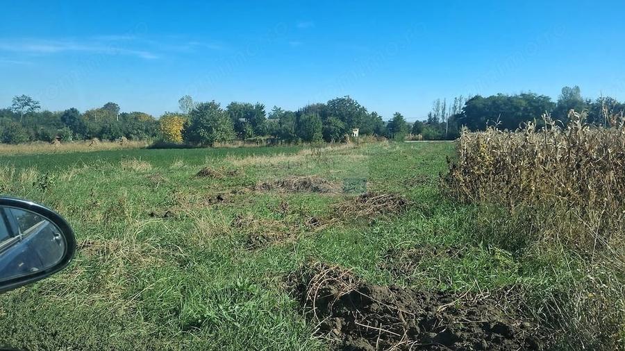 Teren de 1200 mp, în Ionășeni (Vârfu Câmpului)