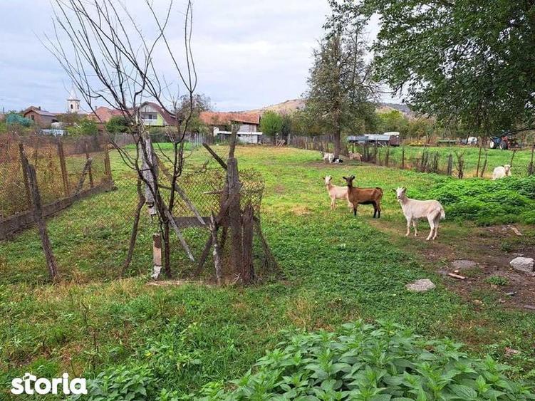 Vand casa Vidrasau, Mures - 5