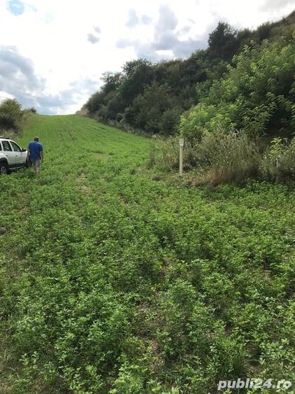 Teren de 11500 mp, în Micăsasa