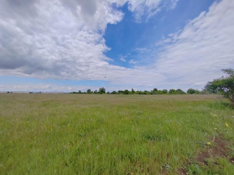 Teren de 114000 mp, în Ariceștii Rahtivani