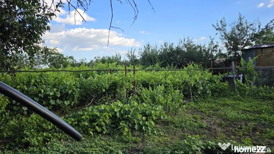 Casă cu 4 camere cu Teren 2200 Mp în Mihai Bravu