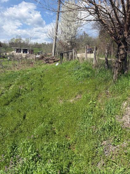 Teren Intravilan Pausesti-Maglasi, jud. Valcea - 7