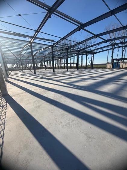 Hala / Depozit de Vanzare Afumati DN2 - 540mp - Acces A0, A3 si Doraly - 6