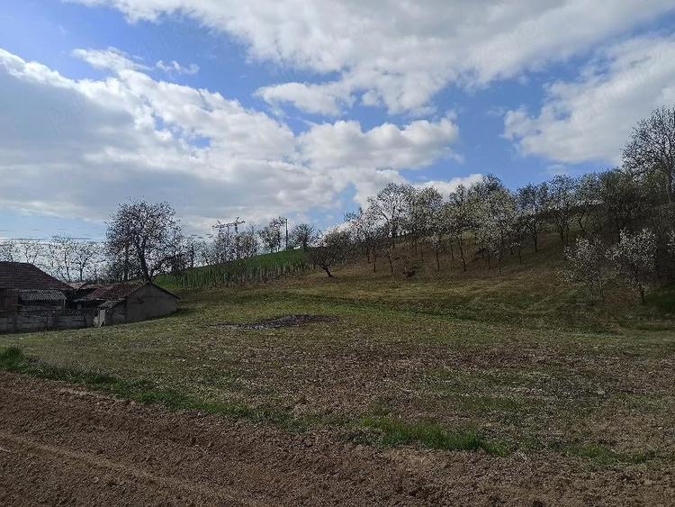 Casa+teren 4000 mp in Arduzel (langa Ulmeni) - 4