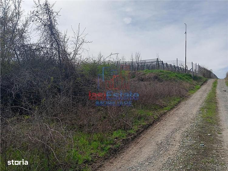 Visan str Valea Viilor TEREN 1122mp cu dubla deschidere toate utilitat - 3