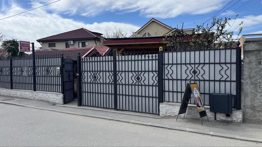 Vila spatioasa+societate comerciala - 2