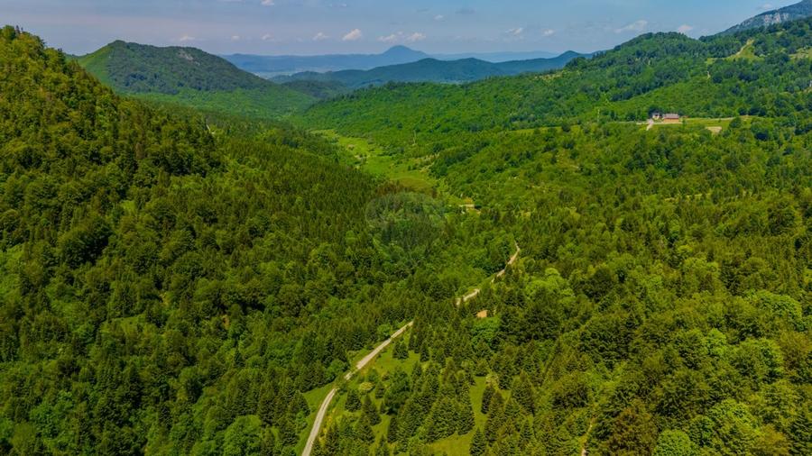 Teren extravlan 14,400mp Paraul Rece / Strada 3 brazi - 2