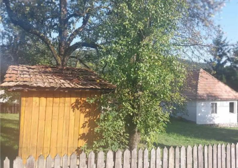 Valea Prahovei - Comarnic/ Casa 3 camere/ pivnita/ curte 55 - 17
