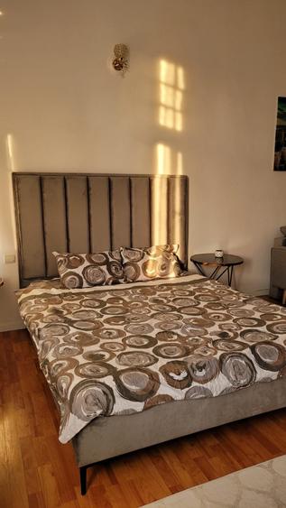 Apartament cochet, ultracentral - 8