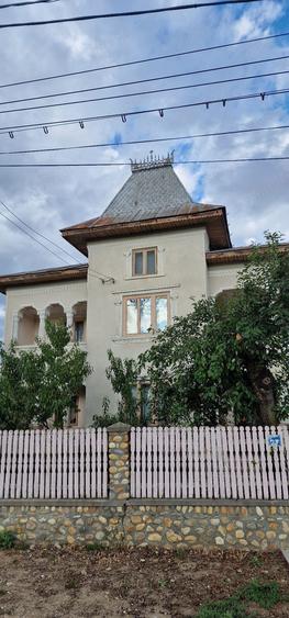 Vand casa la tara cu livada - 5