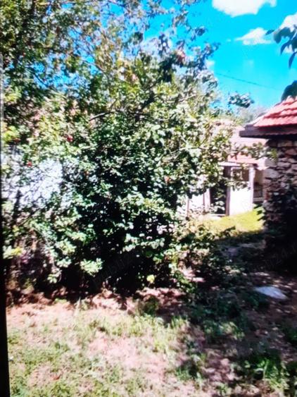 Casa de vanzare in satul ABRUD comuna ADAMCLISI - 8