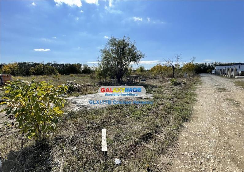 Gulia Tartasesti Str Samurcasi 482 mp deschidere 25 ml - 11