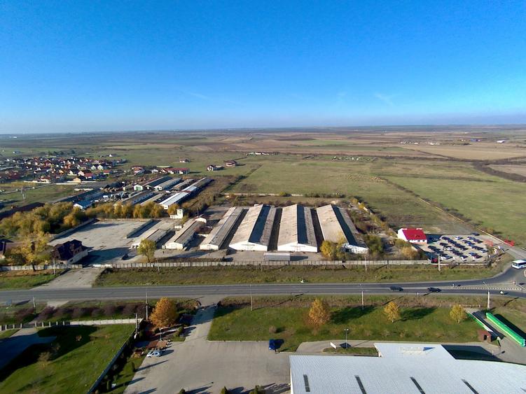 Platformă betonată de închiriat până la 6000 mp, Remetea Mare lângă A1 - 4