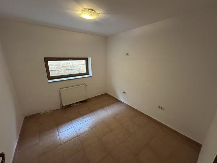 Proprietate cu piscina Dumbravita - 36