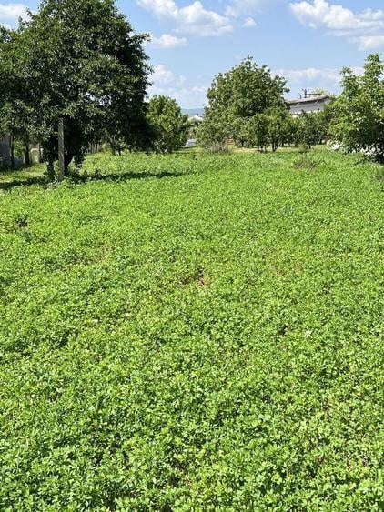 Teren Intravilan 2000 mp-Letea Veche - 2