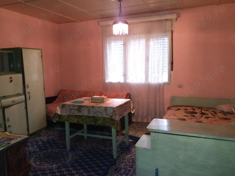 Casa ?i anexe, Cermei central, 2 curti, Front stradal 50 ML, 2880 mp - 6