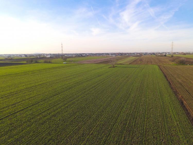 Teren Investitional 1,24 ha Com Berceni | deschidere 42ml | #CG28 - 7