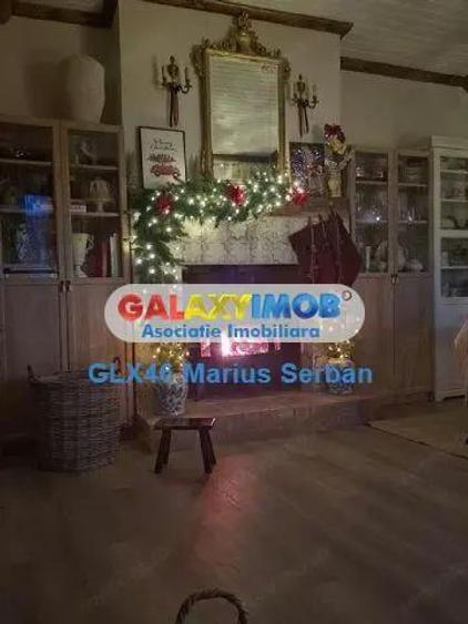 Vanzare casa de vacanta Varfuri Dambovita - 5