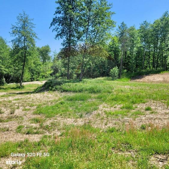 Oaza de lini?te teren de vanzare 6.725 mp - 7