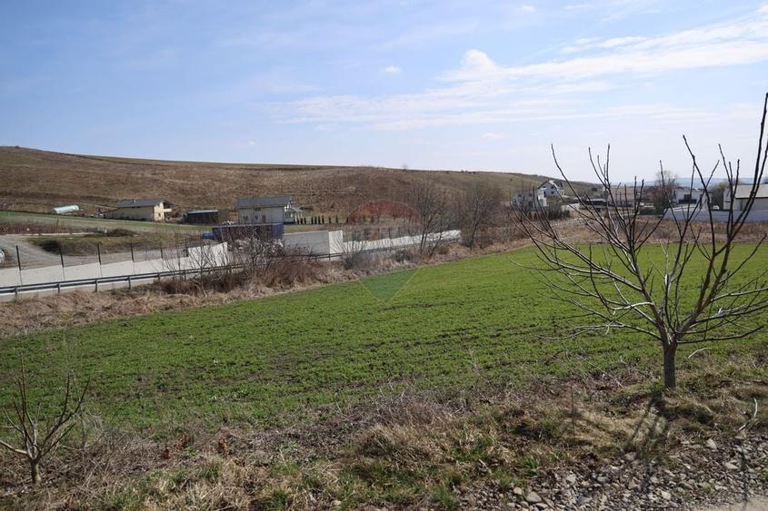 Teren 3,500mp Moara / Strada Pprincipala - 6