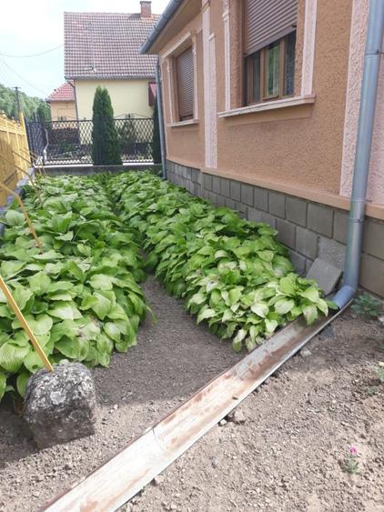 Casä de vinzare,  Str. Carei Nr.412,Petresti,jud.Satu-Mare - 3