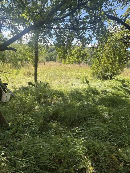 Casa de vacanta in zona deosebita- Ozun - 1