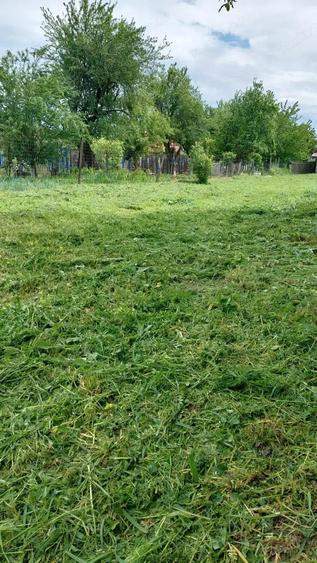 Teren intravilan, 1000 mp, Iezureni Gorj - 3