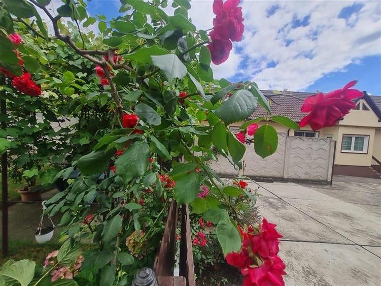 LIVE! Casa cu vatra traditionala, curte si gradina garaj, facilitati, Codlea, Br - 1