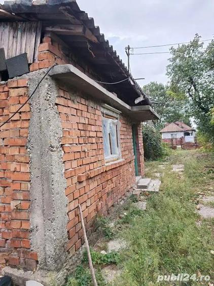 Potigrafu Crivina - 5