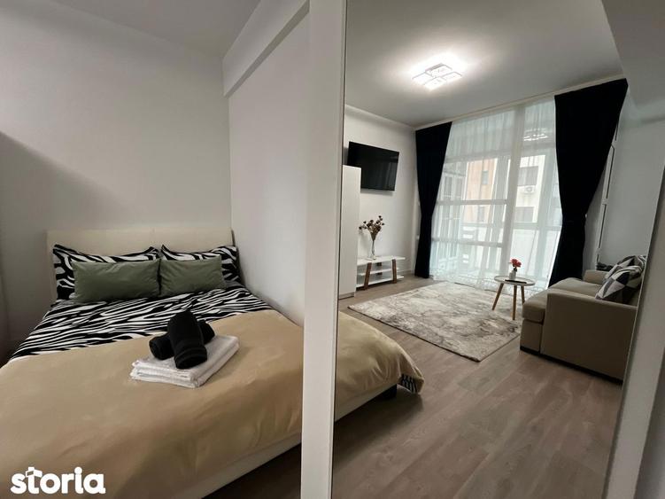 Apartament de inchiriat, o camera, Open space, 35 mp, Lunca Cetatuii - 14