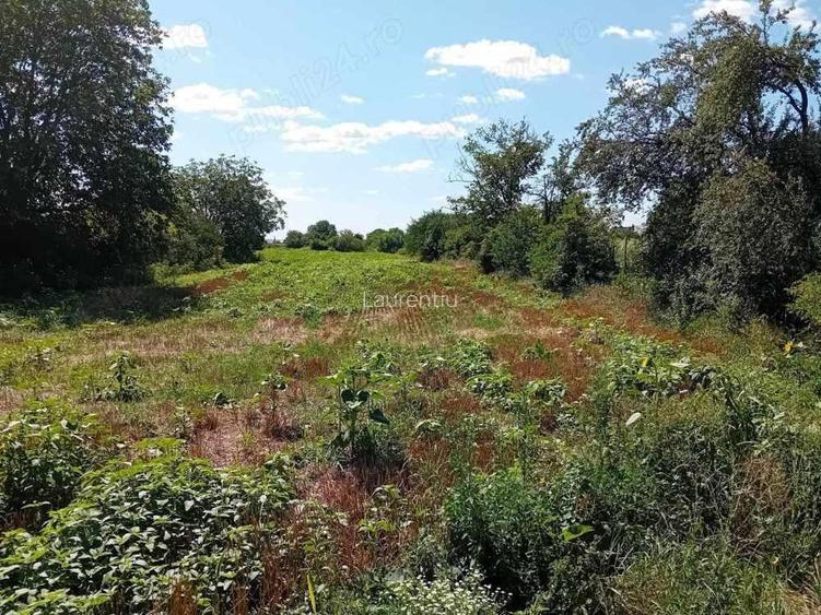 Casa Girov 152mp P+M ila sosea asfaltata din BCA teren 1240mp intravilan la rosu termopan acoperita