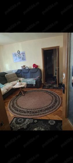 Apartament 2 camere Sagului de vanzare - 3