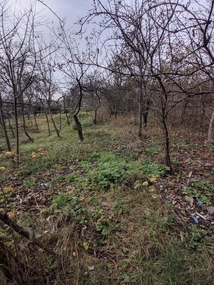 Casă de vânzare, 60 mp utili, 909 mp teren, Dâmbul Rotund zona Dedeman - 5