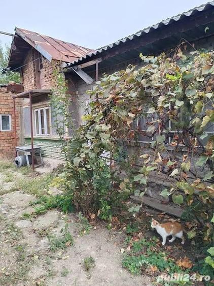 Potigrafu Crivina - 1