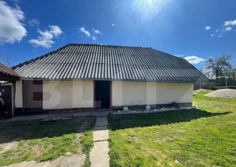 Casa cu 3 camere, 90 mp, 2 anexe gospodaresti si teren de 30 - 5