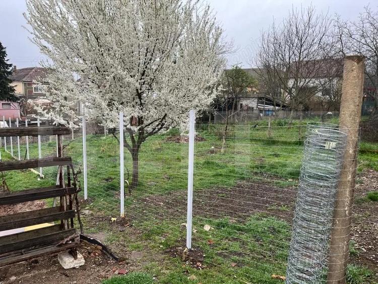 Doua case intr-o curte de 952 mp, Paleu-liniste, spatiu, potential langa Oradea - 1