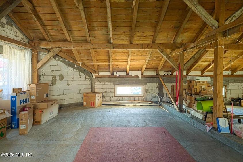 Lunei - Ion Neculce, 2 Apartamente. Mansarda 157 mp. Anexe, Lot 475 mp - 35