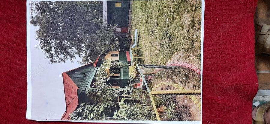 Casa cu teren Poiana Lacului - 2