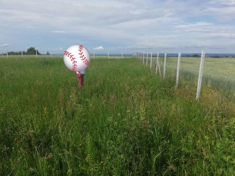 3,5 ha teren Vaculesti - 2