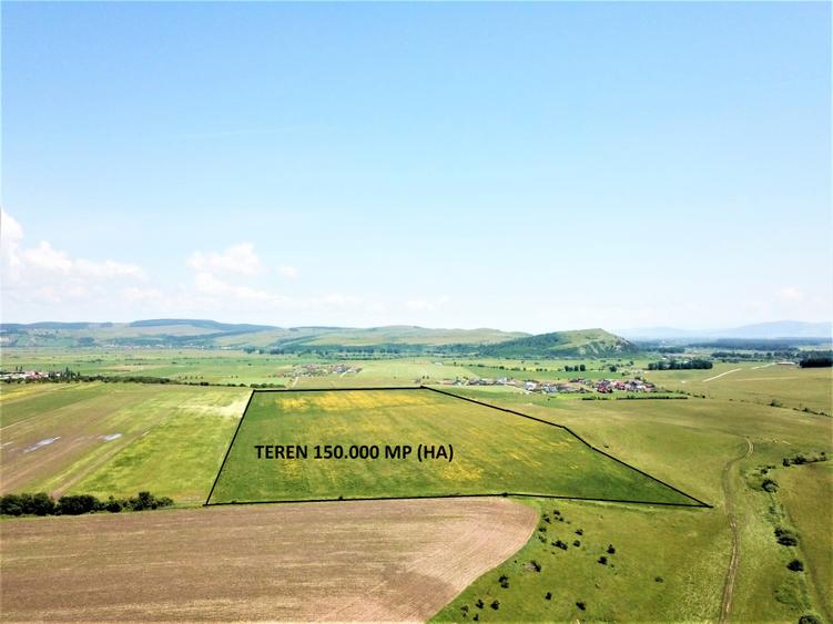 Teren Bod - ideal dezvoltare cartier rezidential - 3