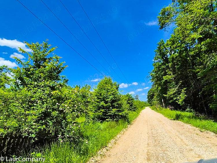 Teren intravilan Cotmeana Arges - 2