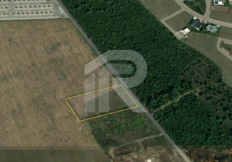 BALOTESTI - EDENLAND -  ideal investitie - Teren 5.254 mp, lângă pădure - 3