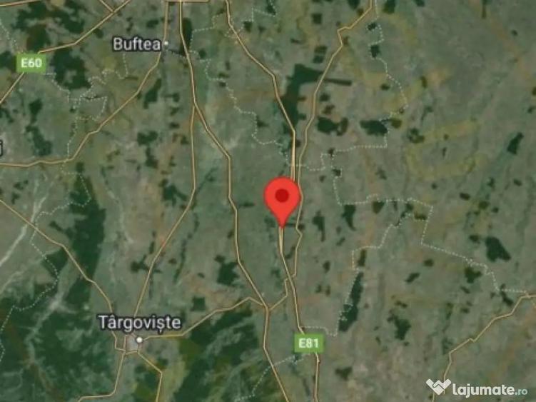 Teren Autostrada A1 24ha pentru balastiera - 8