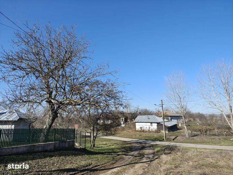 5600mp+casa demolabila 48km de la Universitate sat Obedeni jud. Gr - 4