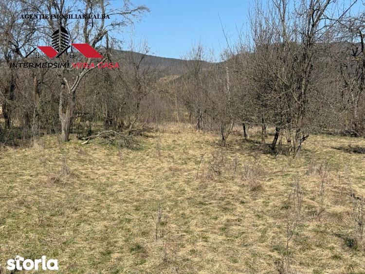 Casa si anexe cu un teren de 7701 mp de vanzare in Stauini Jud Alba - 13